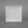 SQU 21435 Square Salad Plate